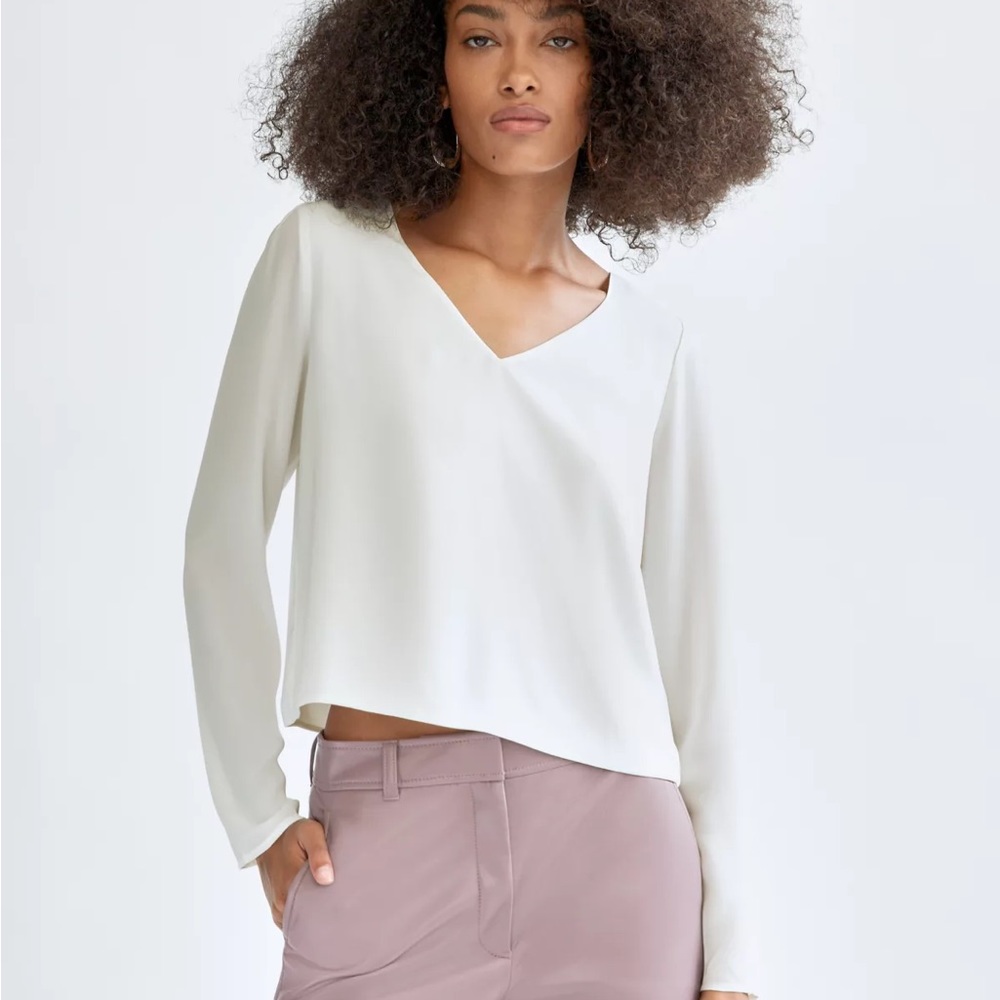 Aritzia Babaton Long Sleeve
